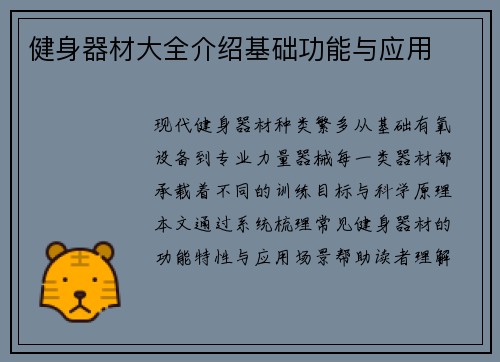 健身器材大全介绍基础功能与应用