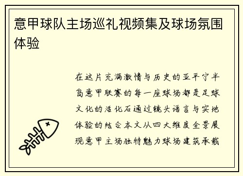 意甲球队主场巡礼视频集及球场氛围体验